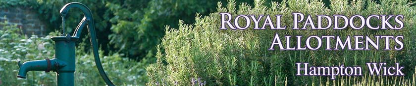 Royal Paddocks Allotments website masthead