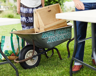Pop-up Plant Sale & Bee-keeping demo June 2024