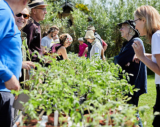 Plant Sale 19th May 2024